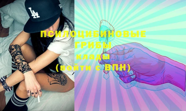 шишки Кинешма