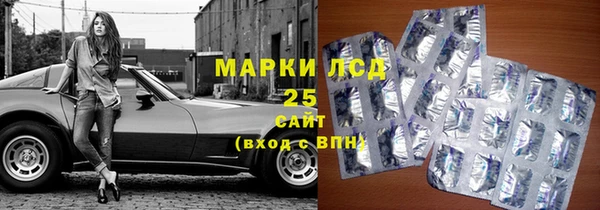 ГАЛЛЮЦИНОГЕННЫЕ ГРИБЫ Киренск