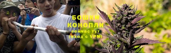 ГАЛЛЮЦИНОГЕННЫЕ ГРИБЫ Киренск